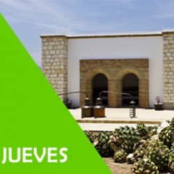Chimalli Travel Gruop